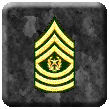 Command Sergeant Major